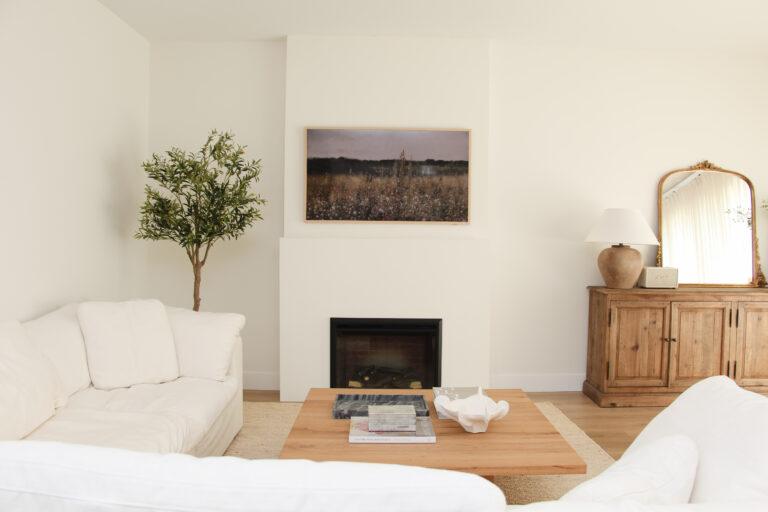 Minimalist Modern Living Room