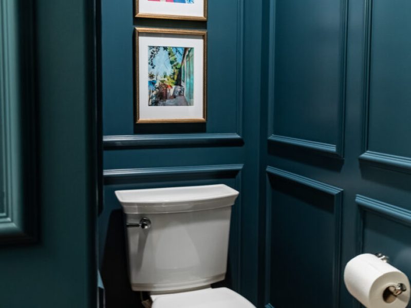Moody colour drench Blue Powder Room with picture frame moulding